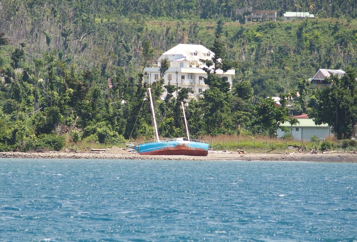 dominica hajoroncs